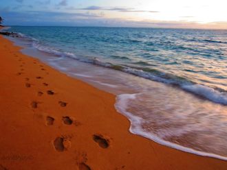Footprints in the sand